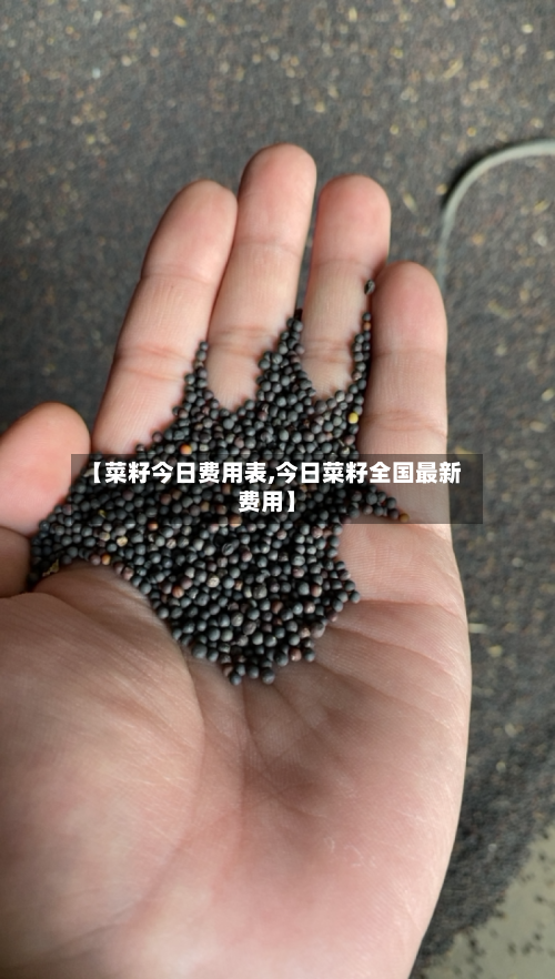 【菜籽今日费用表,今日菜籽全国最新费用】