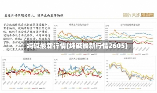 纯碱最新行情(纯碱最新行情2605)-第2张图片