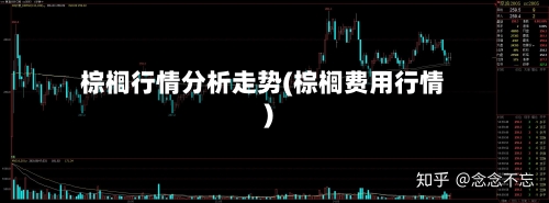 棕榈行情分析走势(棕榈费用行情)-第3张图片