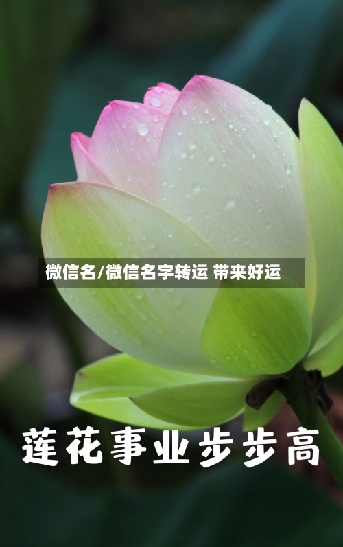 微信名/微信名字转运 带来好运