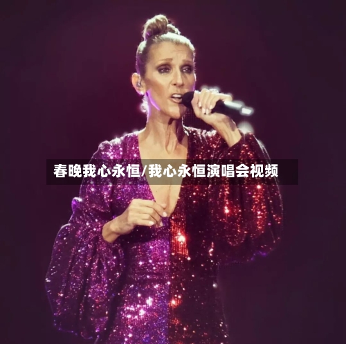 春晚我心永恒/我心永恒演唱会视频-第2张图片