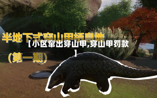 【小区窜出穿山甲,穿山甲罚款】-第2张图片
