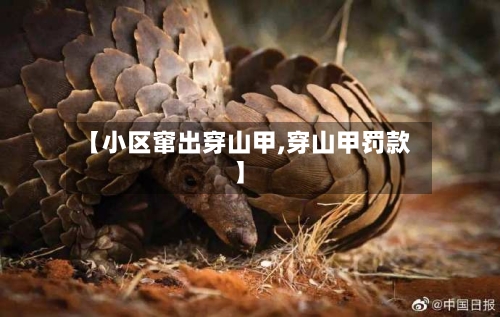 【小区窜出穿山甲,穿山甲罚款】