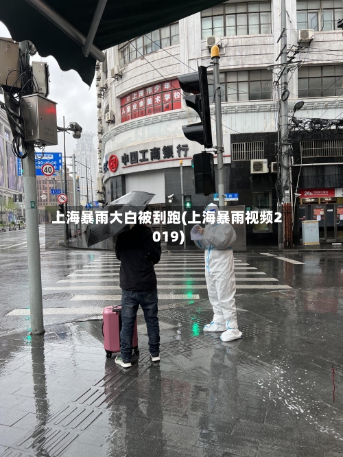 上海暴雨大白被刮跑(上海暴雨视频2019)-第2张图片