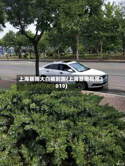上海暴雨大白被刮跑(上海暴雨视频2019)
