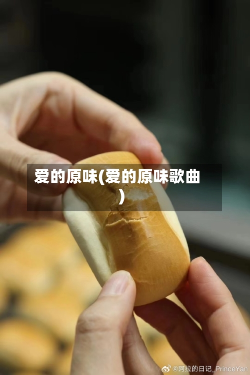 爱的原味(爱的原味歌曲)