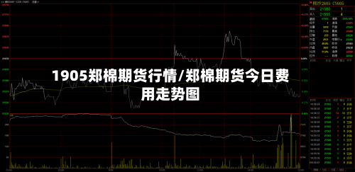 1905郑棉期货行情/郑棉期货今日费用走势图