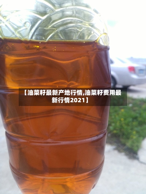 【油菜籽最新产地行情,油菜籽费用最新行情2021】
