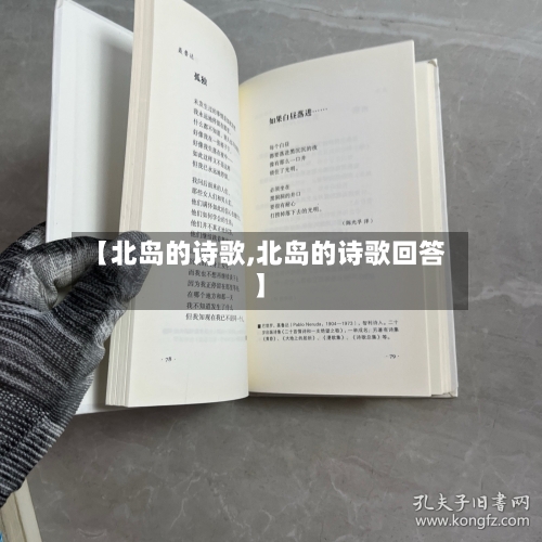 【北岛的诗歌,北岛的诗歌回答】