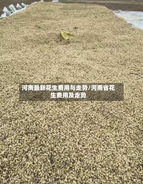 河南最新花生费用与走势/河南省花生费用及走势-第2张图片