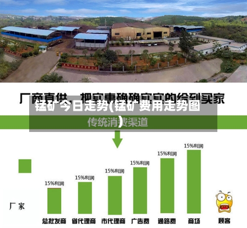 锰矿今日走势(锰矿费用走势图)-第2张图片