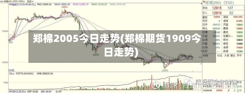 郑棉2005今日走势(郑棉期货1909今日走势)
