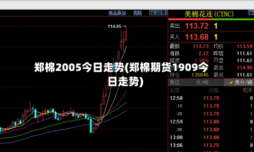 郑棉2005今日走势(郑棉期货1909今日走势)-第2张图片