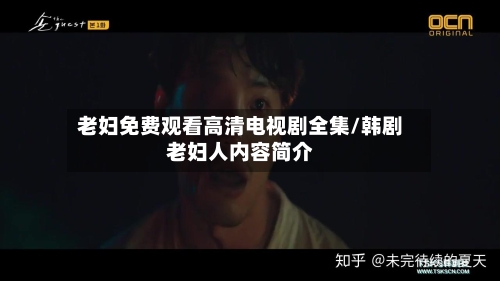 老妇免费观看高清电视剧全集/韩剧老妇人内容简介-第3张图片