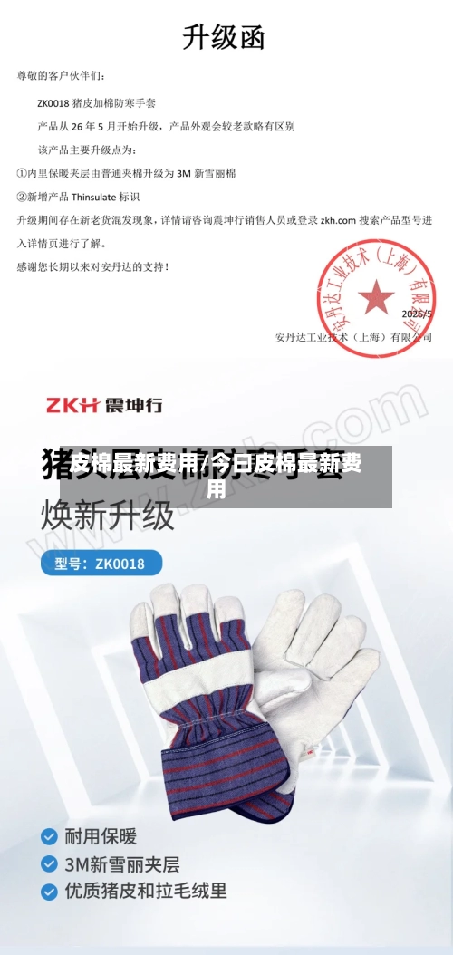 皮棉最新费用/今曰皮棉最新费用-第2张图片