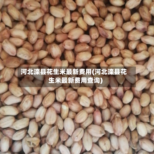 河北滦县花生米最新费用(河北滦县花生米最新费用查询)