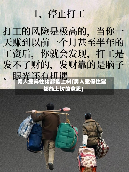 男人靠得住猪都能上树(男人靠得住猪都能上树的意思)-第2张图片
