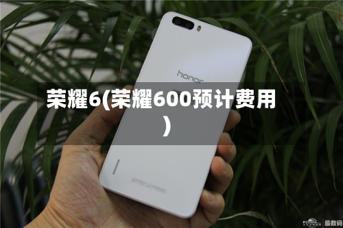 荣耀6(荣耀600预计费用)
