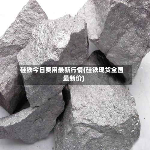 硅铁今日费用最新行情(硅铁现货全国最新价)