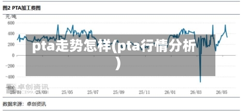 pta走势怎样(pta行情分析)-第3张图片