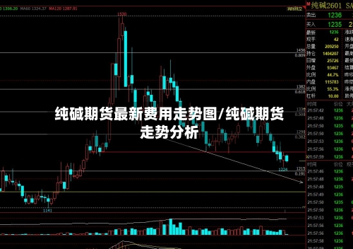 纯碱期货最新费用走势图/纯碱期货走势分析