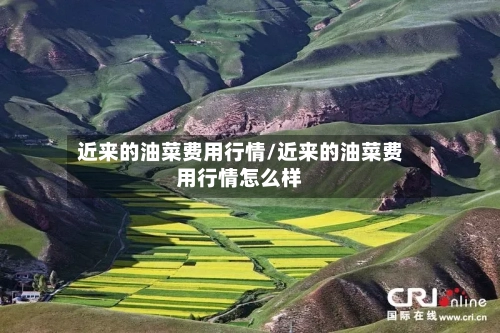 近来的油菜费用行情/近来的油菜费用行情怎么样