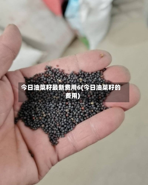 今日油菜籽最新费用6(今日油菜籽的费用)