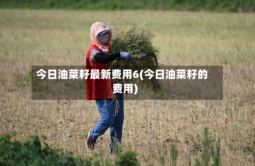 今日油菜籽最新费用6(今日油菜籽的费用)-第2张图片
