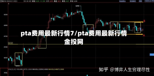 pta费用最新行情7/pta费用最新行情金投网-第3张图片