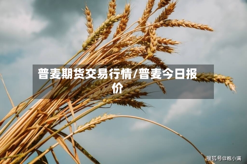 普麦期货交易行情/普麦今日报价