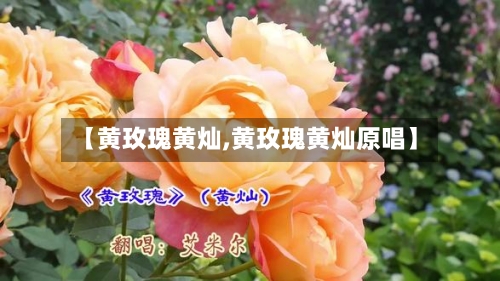 【黄玫瑰黄灿,黄玫瑰黄灿原唱】-第2张图片