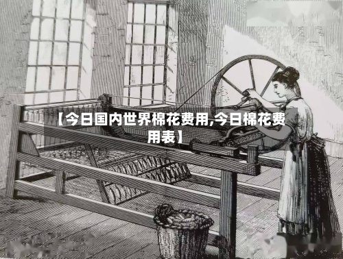 【今日国内世界棉花费用,今日棉花费用表】
