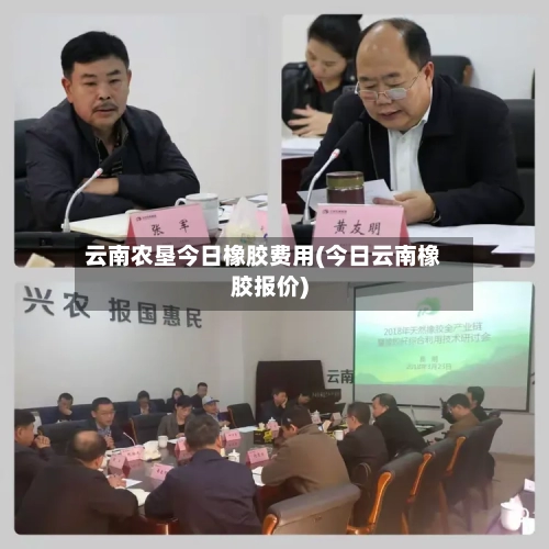 云南农垦今日橡胶费用(今日云南橡胶报价)