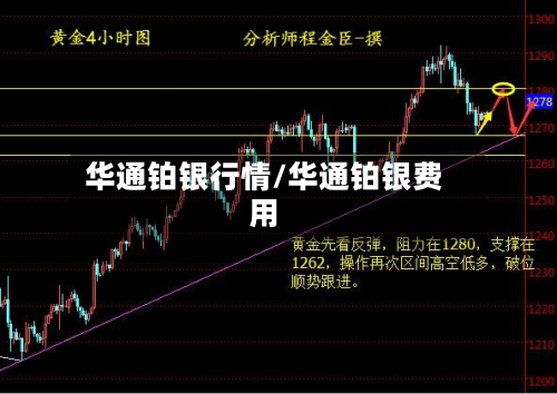 华通铂银行情/华通铂银费用