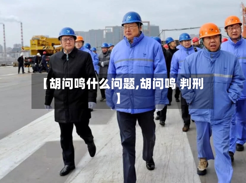 【胡问鸣什么问题,胡问鸣 判刑】-第2张图片