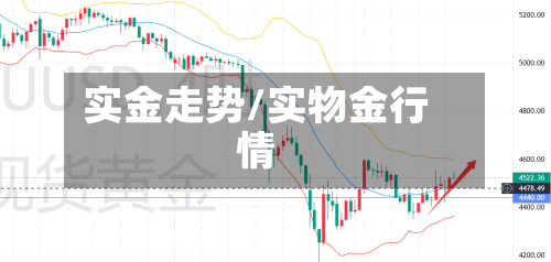 实金走势/实物金行情