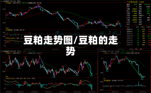 豆粕走势图/豆粕的走势-第2张图片