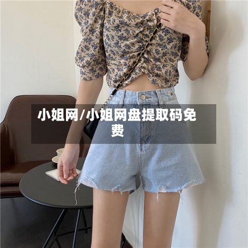 小姐网/小姐网盘提取码免费-第2张图片