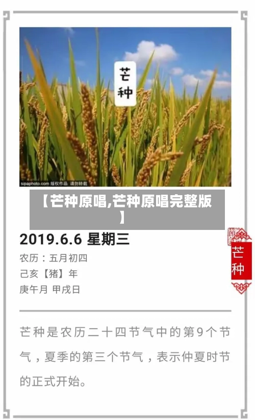 【芒种原唱,芒种原唱完整版】