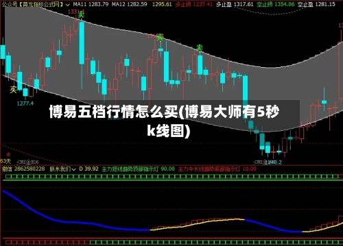 博易五档行情怎么买(博易大师有5秒k线图)-第3张图片