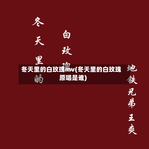 冬天里的白玫瑰mv(冬天里的白玫瑰原唱是谁)-第2张图片