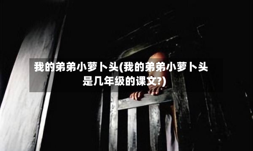 我的弟弟小萝卜头(我的弟弟小萝卜头是几年级的课文?)-第2张图片