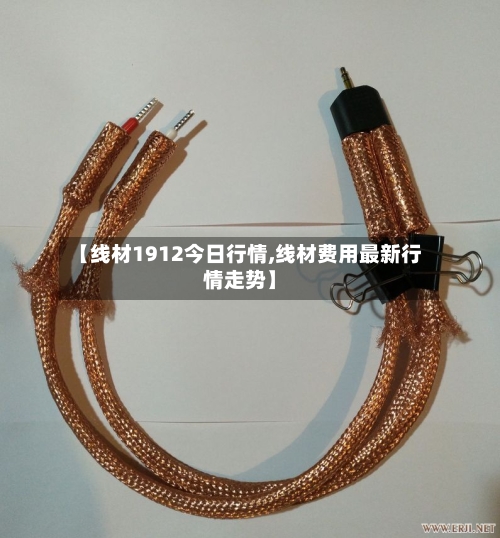 【线材1912今日行情,线材费用最新行情走势】-第3张图片