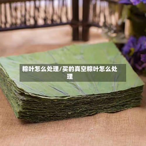 粽叶怎么处理/买的真空粽叶怎么处理-第2张图片