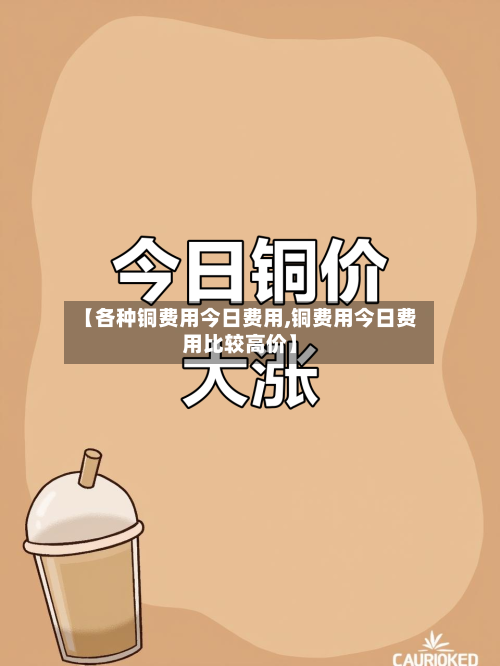 【各种铜费用今日费用,铜费用今日费用比较高价】