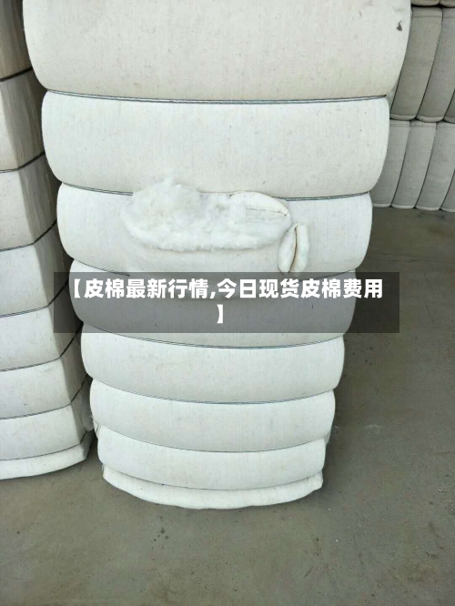 【皮棉最新行情,今日现货皮棉费用】