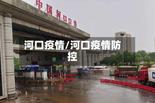河口疫情/河口疫情防控