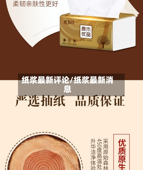 纸浆最新评论/纸浆最新消息-第2张图片