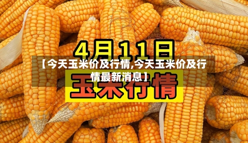【今天玉米价及行情,今天玉米价及行情最新消息】-第2张图片