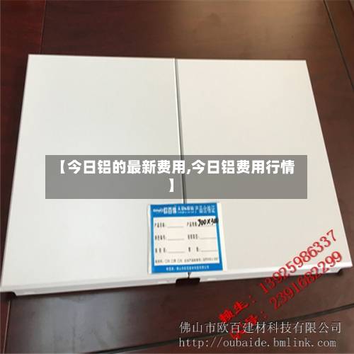 【今日铝的最新费用,今日铝费用行情】-第3张图片
